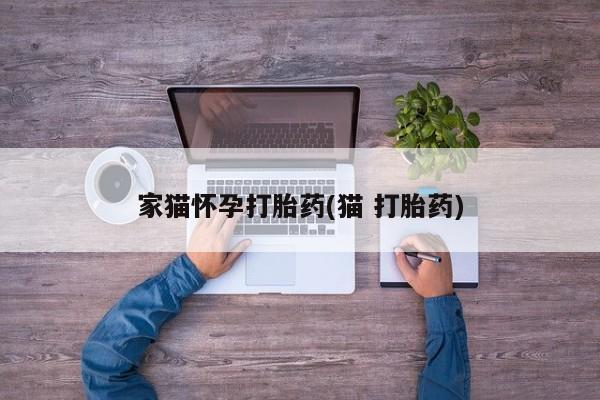 网上打胎药专卖微信家猫怀孕打胎药(猫 打胎药)