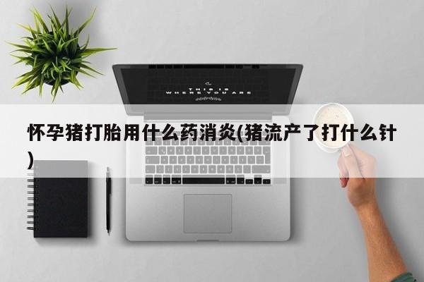 网上打胎药专卖微信怀孕猪打胎用什么药消炎(猪流产了打什么针)